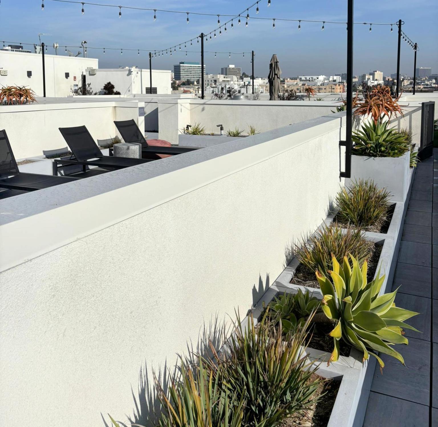 Dream Escape With Great Rooftop Views 洛杉矶 外观 照片